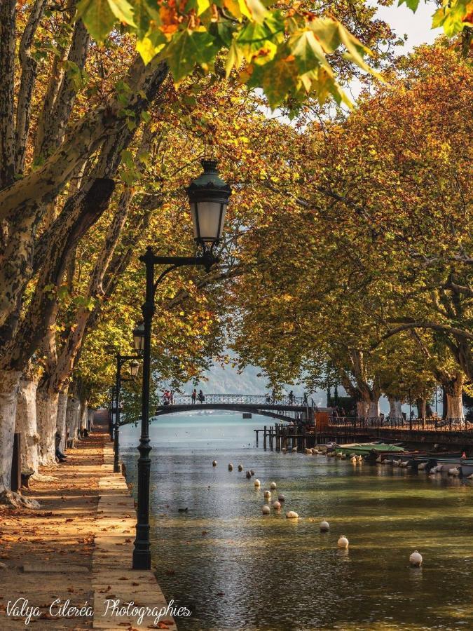 La Madeleine Apartment Annecy Ngoại thất bức ảnh
